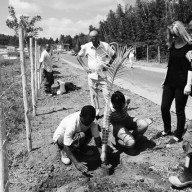 Minas Gerais Prisoners Planting Project